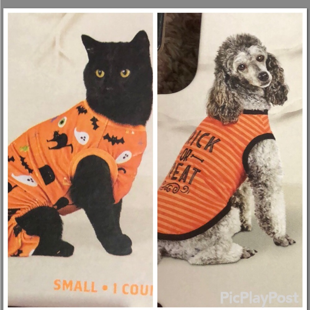 Pet Halloween clothing for cat or dog up to 20lbs small NWT